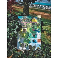 Open Source Web Server dan FTP: Langkah Demi Langkah