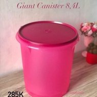 Giant Canister Tupperware