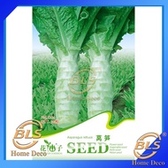【EXPIRED】C121 ASPARAGUS LETTUCE FLOWER GODDESS VEGETABLE FLOWER FRUIT HERB SEED BIJI BENIH