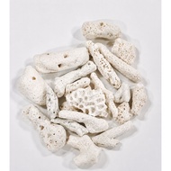 Coral Stone /  Batu Karang Media Aquarium (Plastic/Zip Bag)