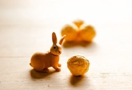 向日葵種子球 (5顆裝/不含花器培養土)