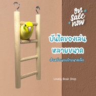 บันได ของเล่นนก บันไดไม้ ของเล่นสัตว์เลี้ยง หนู กระรอก ชูการ์ นกแก้ว อุปกรณ์สำหรับตกแต่งกรงนก