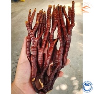 Nấm Linh chi Sừng Hươu Tây Bắc thu hái rừng phơi khô tự nhiên. Thảo dược nấm linh chi sừng hươu linh