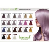 BR-R308 Bremod Hair Color Premium Series Cocoa Butter Fashion Color 8.17 Milk Tea Ash Gray Blonde
