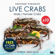 [🔥ONE DAY PROMO🔥]*BestSeller*🦀Live Crab (Buy 10 Free 1 for store pick-up) 400g+- each 🦀 [ FREE DELIVERY ]
