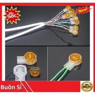 Aphid seeds connecting network and phone wires