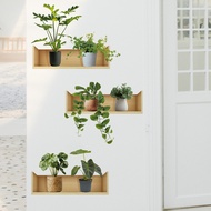 [Wall Stickers] Green Plant Vines Potted Plant Decoration Painting Wall Stickers Background Wall Dec