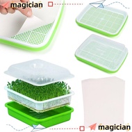 MAGICIAN  Sprouter Tray Gardening Supplies Nursery Paper Soilless Cultivation Plant Box
