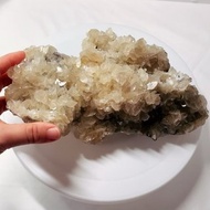 Crystal Corner 隅石丨黃方解石花型晶簇245丨淨化丨療癒水晶法寶