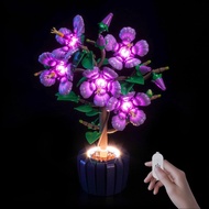 Upgraded Led Light Kit Compatible with Lego The Botanical Collection Hibiscus Building Set, Lights D