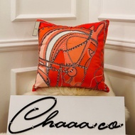 Hermes cushion pillow