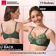 AVON Lucina Underwire Full Cup Lace Bra | 34A - 38B | Kombu Green and Soybean | FEBULOUS-COLECCION O