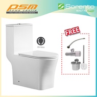 SORENTO One Piece Design Bathroom WC Wash Down Flushing System Toilet Bowl SRTWC8356-RL