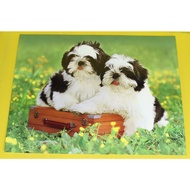 2022 Poster Picture 2 Dogs Black-White Flower Field Scene Size 16"x20" Inches