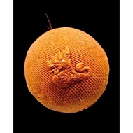 Loop Om Yodsetthi - Lp Maha Sila