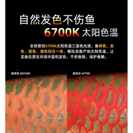 Second Generation Nio Light SOLAR Fluorescent Hair Color Light Thunder Arowana Special Light Diving 