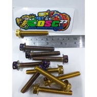 Probolt GOLD AND BLUE FLOWER DRAT BOLT 12 LENGTH 5CM 8X50 ORI HENGs