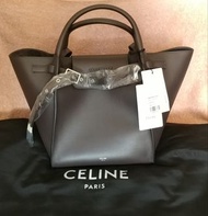 Celine Big Bag Small Long Strip