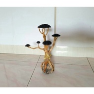 bonsai aquascape aquarium/mini bonsai hiasan pokok aquarium