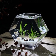 Green Creative Glass Fish Tank Personalized Fish Tank Living Room Tropical Fish Tank Desktop Betta T