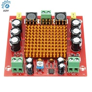 150W TPA3116 Mono Channel Digital Power Audio Amplifier With Preamplifier NE5532 Class D TPA3116D2 D