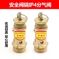 Boiler Iron security Valve Steam Generator Boiler security Relief Valve 3Kilowatt Boiler Safety Valv