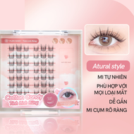 Mi Giả Mlen Diary Eyelash