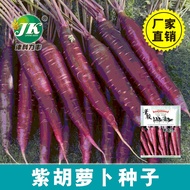 Purple Carrot Seeds Farmland Vegetable Garden Easy to Plant Vegetable Seeds Autumn Sowing Family Balcony Various Vegetab