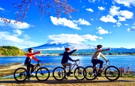 Mount Fuji Yamanakako Cycling/Cruise, Oshino Hakkai, Lake Kawaguchiko Oishi Park/Maple Corridor, Ara