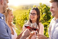 Private Yalumba Wine Tour Experience from Angaston