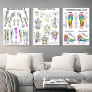 Trigger Points Anatomy Foot Reflexology Chart Study Poster Prints Wall Art Canvas Painting Picture P