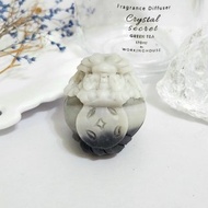 背錢幣太極玉龍龜