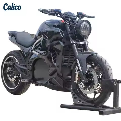 Calico Brand Exclusive Custom Electric Lightweight Motorcycle Racing Adult Electric Motorcycle