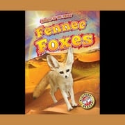 Fennec Foxes Patrick Perish