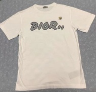 Dior kaws短袖