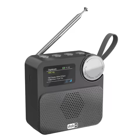 Bluetooth-compatible Internet FM Radio Built-in Battery Digital Radio with 1.47inch Color Display Ex