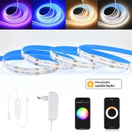 Homekit WiFi สมาร์ท COB RGB + CCT ไฟ LED Strip 12V 1 M 2 M 3 M 4 M 5 M RGBCW หรี่แสงได้ Room PARTY D