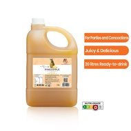 EveryDay Pineapple Juice Concentrate 浓缩黄梨汁 4L