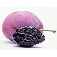 dried prune plum kering buah plum kering 500 gram