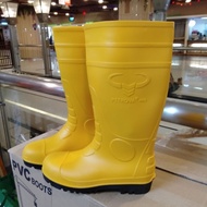 Petrova Non-Safety Safety Boots Petrova Safety Boots