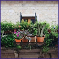 Plant Holders for Railings Hangable Iron Flower with Hooks Balcony Plant Holder for Balcony Patio Po