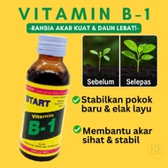 B1 START Penggalak akar | Root Stimulant | Vitamin B1 | baja air | baja siam | vitamin siam 100ml