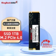 金百达（KINGBANK）1TB SSD固态硬盘 M.2接口(NVMe协议PCIe 4.0 x4)  KP260 长江存储晶圆 国产颗粒