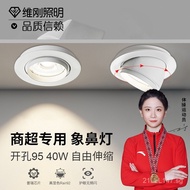 Spotlight Zhongshan Factory Elephant Nose Lamp led Ceiling Light Recessed Anti-Glare Spotlight Shop 