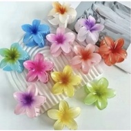 WHOLESALE DOZENS OF FRANCISCO CLIPS (12 PCS) DOZENS OF JUMBO FRANCISCO