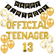 (SG Seller) 13th Birthday Decorations, 13th Birthday, 13 Years Old, Official Teenager, 13th Birthday