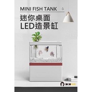 lestar SQG多功能桌面迷你水族箱 USB 水泵 4檔燈光 造景 虹吸 手機支架 LED
