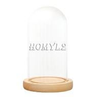 ✱✔✟Decorative Clear Cloche Glass Display Dome With LED Wooden Base