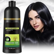 Shampoo Eterna Vida 6 En 1, Black Hair Dye Shampoo 3 In 1, Herbal Hair Dye Shampoo, Eterna Vida Colo