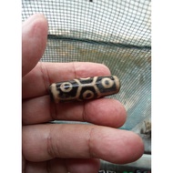 precious 9 eye with turtle back pattern tibetan dzi bead.